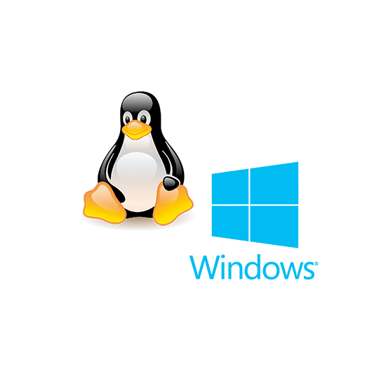 Windows Server 2012 o Linux