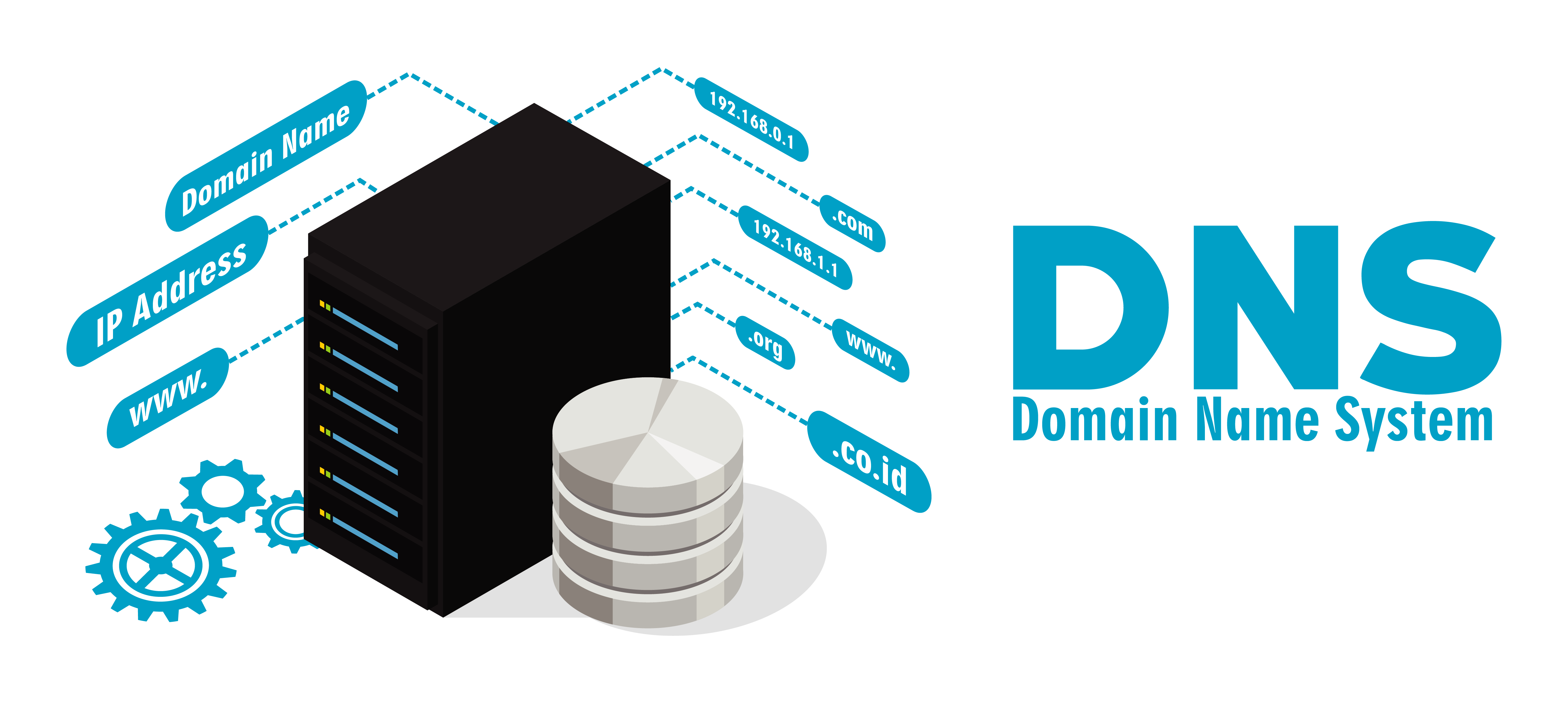 C web. DNS-hosting. Compruebe.